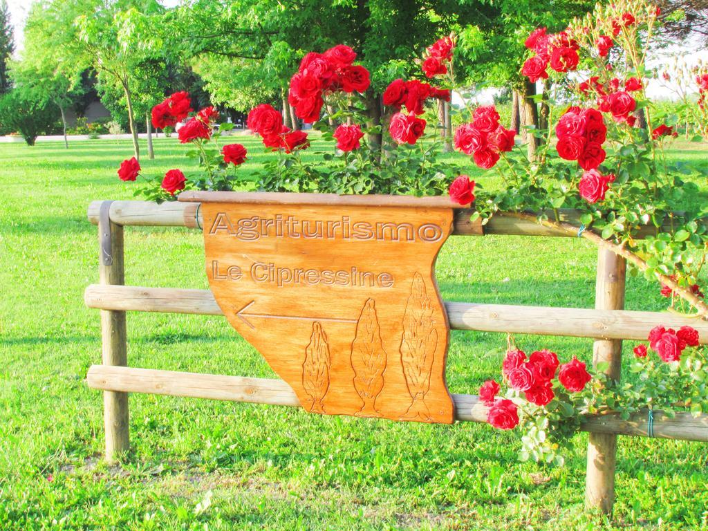 Agriturismo Le Cipressine Meolo Exterior foto