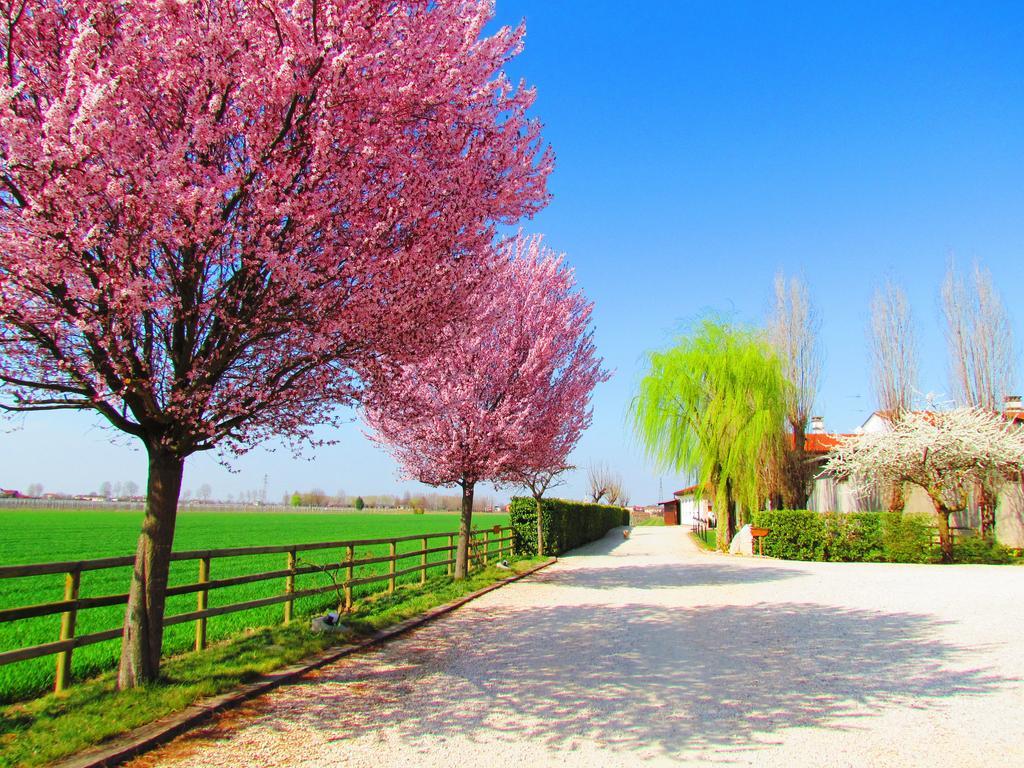 Agriturismo Le Cipressine Meolo Exterior foto